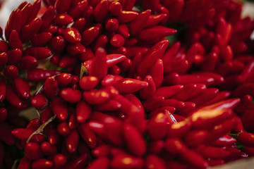 Red Chili Peppers