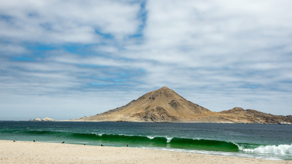 Isla Pan de Azucar Chile Playa 