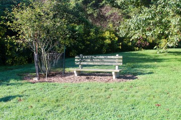 The empty park bench in the park.