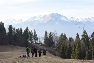 people hiking in the nature