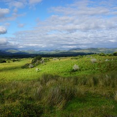 Fototapeta na wymiar Landschaft in Irland