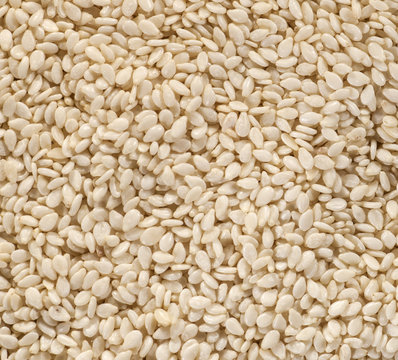 Background of fresh sesame seeds