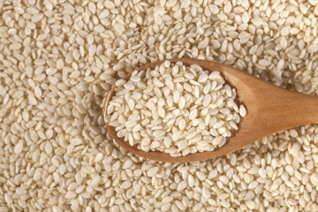 Background of fresh sesame seeds in wooden spoon
