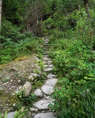 Killarney Nationalpark in Irland