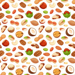 Seamless pattern with illustrations of nuts vector.