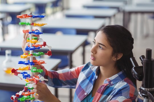 Attentive schoolgirl experimenting molecule model in laboratory