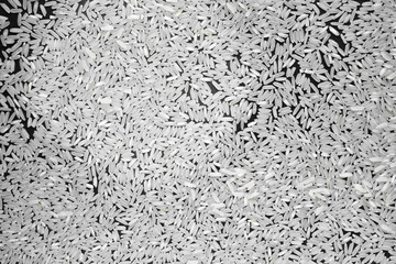 Hill rice grains on a black background, close-up