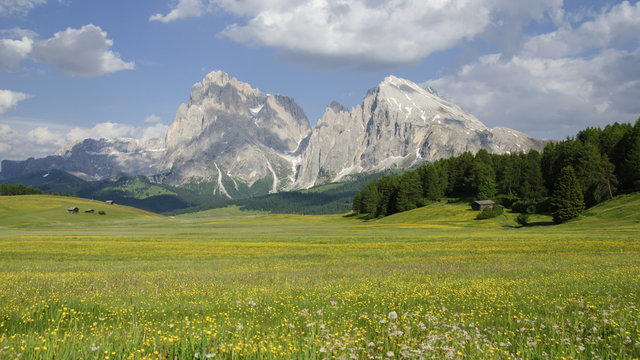 Alpe di Siusi, Sassolungo and Sasspopiatto on background, Dolomiti, Bolzano province, Trentino alto Adige, Italy, Europe