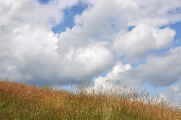 Fototapeta na wymiar CLOUDY LANDSCAPE with meadow