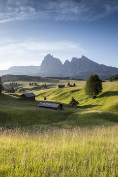 View of grassy landscape against blue sky