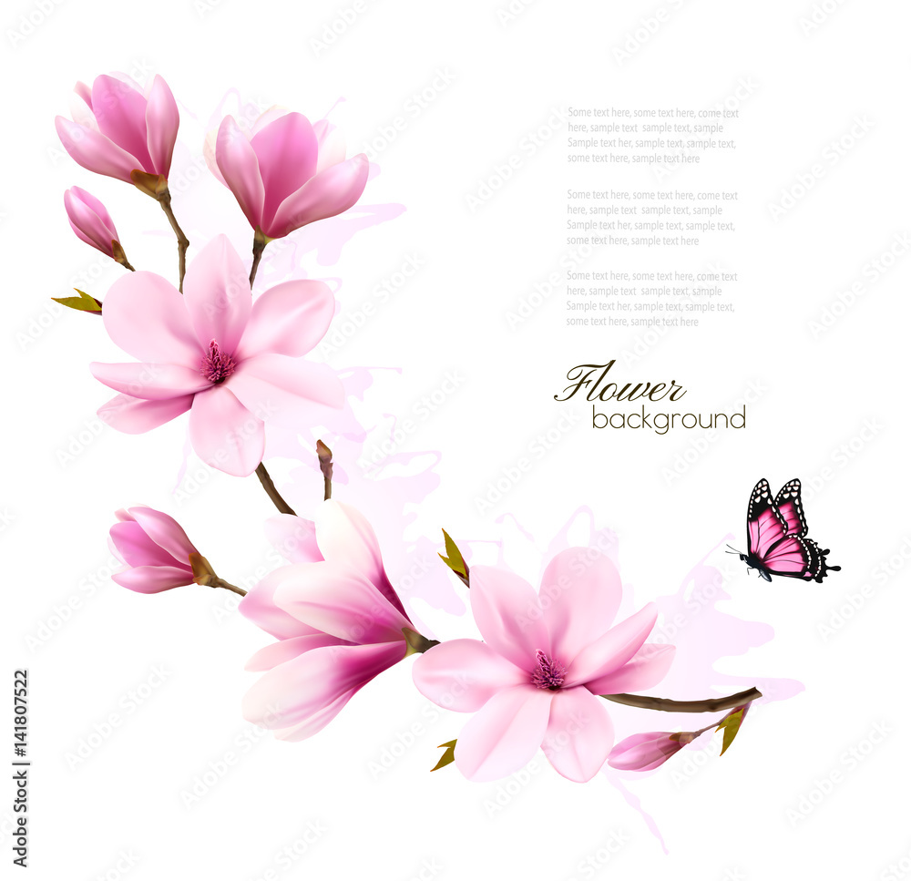 Poster nature background with blossom branch of pink magnolia and butterfly. vector