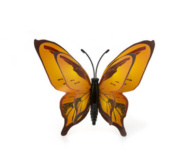 Beautiful yellow butterfly on a white background