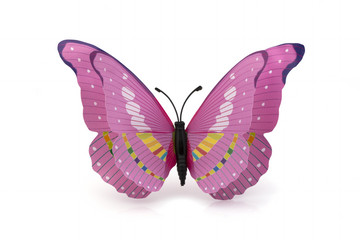 Pink Butterfly on a White Background