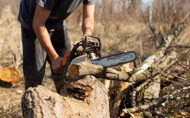Man cutting branch