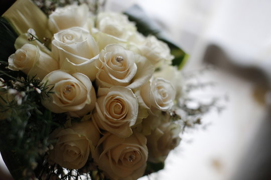 bouquet di rose bianche