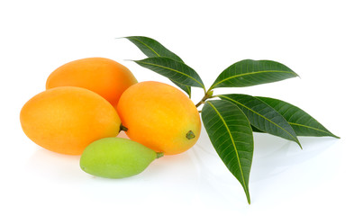 marian plum or plango on white background