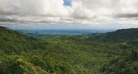 Grenada island - Grand Etang National Park - Atlantic coast