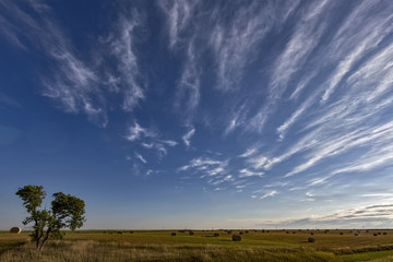 Hay rolls ready to be picked up on the wide open landscape of South Dakota.