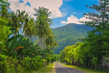 Papier Peint photo autocollant Indonésie Route à travers la jungle