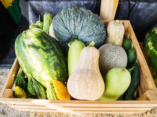 Tropical vegetables in farmer market,organic vegetables