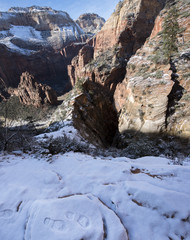 ZION, NATIONAL PARK, WINTER, SNOW, ICE