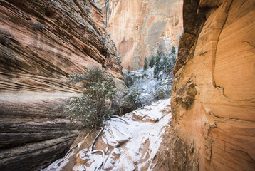 ZION, NATIONAL PARK, WINTER, SNOW, ICE