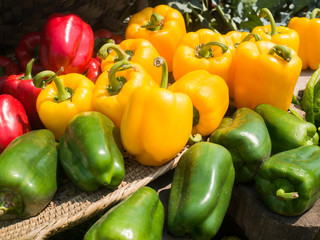 Fresh bell peppers in organic farmer market