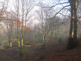 Fototapeta premium Autumn in Sowerby Bridge collection