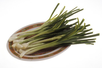 Allium tuberosum / Ciboulette chinoise