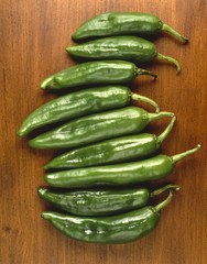 Capsicum annuum / Piment