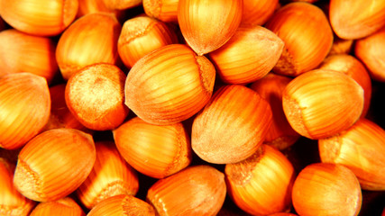 Pile of shelled filbert hazelnuts close up