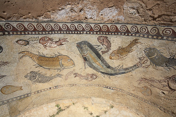 Site romain de Sufetula / Mosaïque des petits thermes / Tunisie