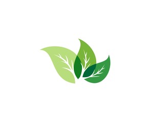 Leafs logo