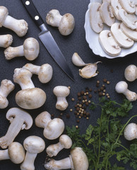 Agaricus bisporus / Champignon de Paris