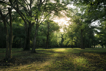 A view of Bear Creek Park in Houston TX