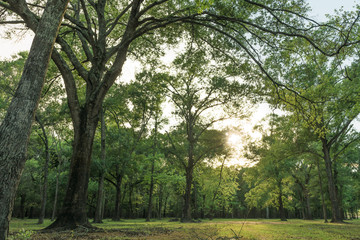 A view of Bear Creek Park in Houston TX