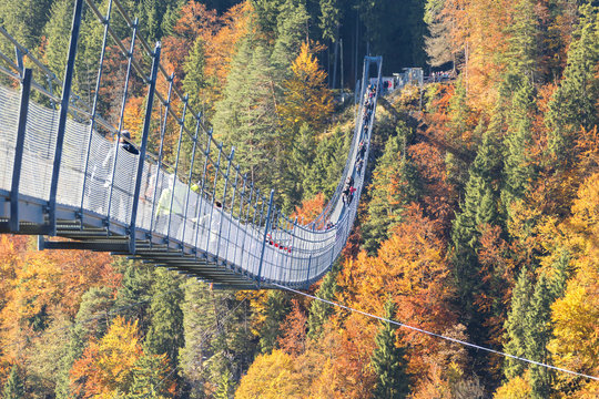 Tourists on the suspension bridge called Highline 179 framed by colorful woods in autumn Ehrenberg Castle Reutte Austria Europe