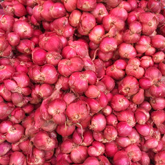 shallot onion red background wallpaper food fresh ingredient cook
