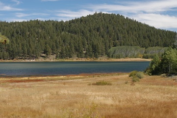 mountain lake and grassy meadow
