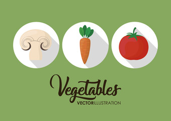 healthy vegetables icons over green background. colorful design. vector illustration