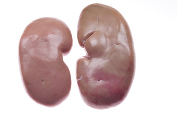 Pig kidney on a white background