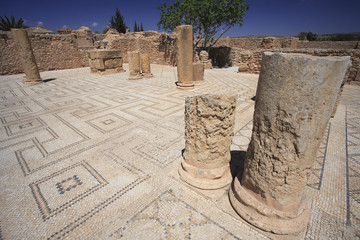 Site romain de Sufetula / Pavement des Grands thermes / Tunisie