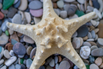 Sea pebbles with starfish. Stone background.