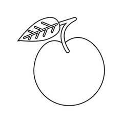 apple food health image outline vector illustration eps 10