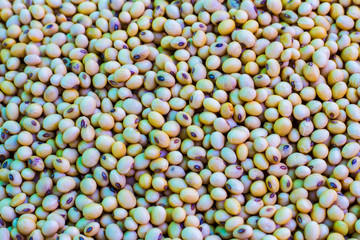 Soy beans texture and background