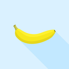 Vector banana fruit
