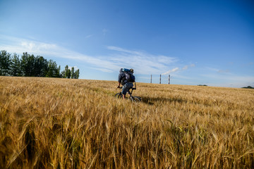 hipster man on a bicycle in the field