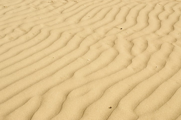 sandy background sea coast. 