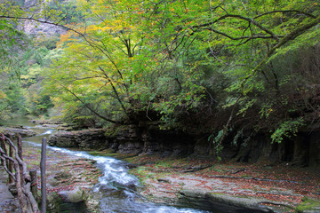Stream Flowing Through Rocks in forest.