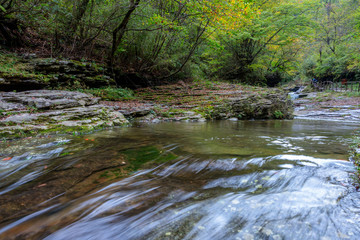 Obraz na płótnie Canvas Stream Flowing Through Rocks in forest.